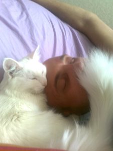 Любимый котяра